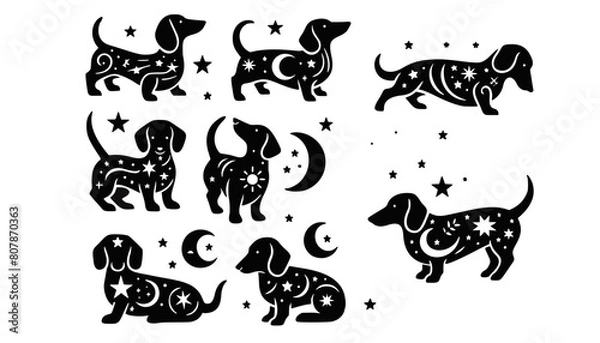 Obraz Dachshund Vector Illustration Set