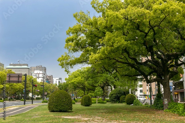 Fototapeta 広島県広島市中区三川町の平和大通り、歩道と緑地部分
