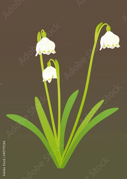 Fototapeta Spring snowflake