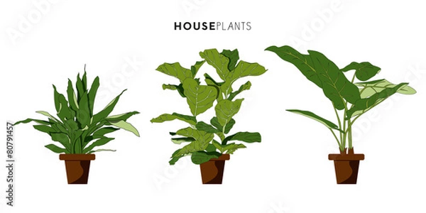 Fototapeta Zestaw trzech roślin doniczkowych z brązową doniczką. Projekt wektor.