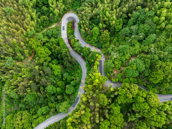 Fototapeta Overview of green bamboo forest and winding mountain road