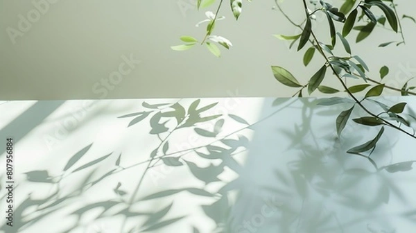 Fototapeta a white table with a birds eye view, sunlight shining in and reflections of leaves