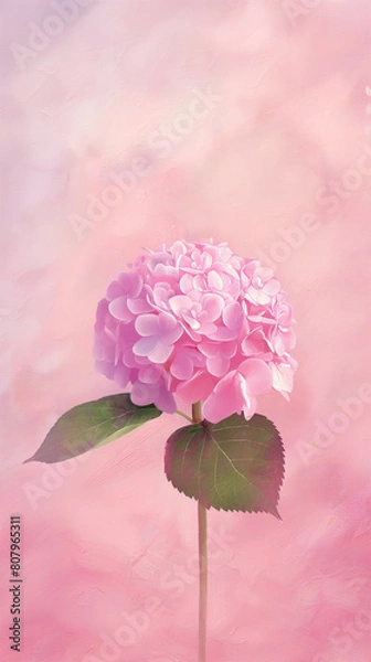 Fototapeta 色鮮やかなピンクの夏のアジサイ