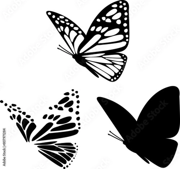 Obraz Spring Side View Butterfly Silhouette Decoration. Exotic Vector Icon on White Background. Wildlife Decor. Vintage Butterfly Wing Contours Closeup Design Element. Side View Insect Illustration for Home