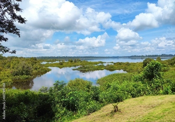 Obraz lake in the forest