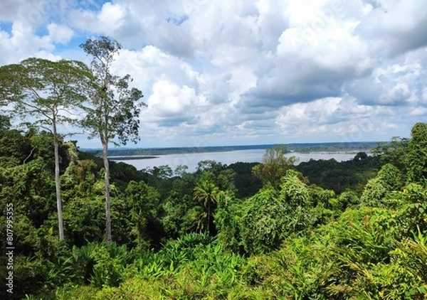 Obraz view from the lake