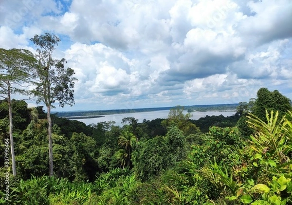 Obraz view from the lake