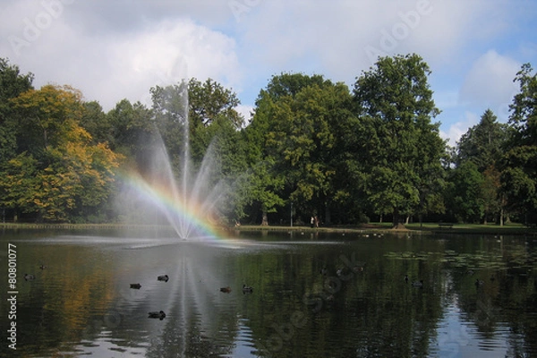 Fototapeta Радуга в парке