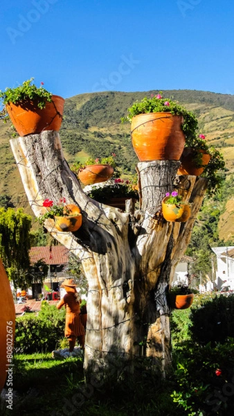 Fototapeta panoramicas y vida Cácota