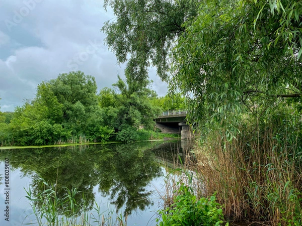 Obraz Fleuve en été