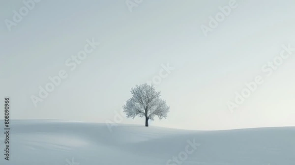 Fototapeta White tree whit white sand type minimalist
