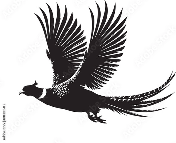 Obraz Pheasant silhouette. Pheasant logo. Pheasant vector design black and white. Pheasant flying silhouette. 