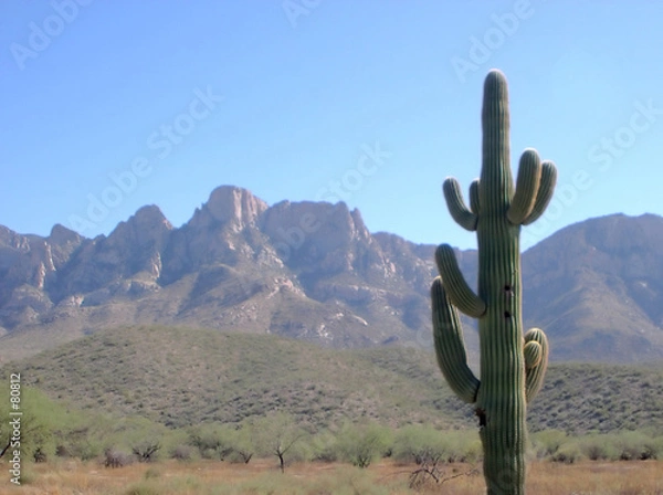 Obraz Tło pustynne 137454