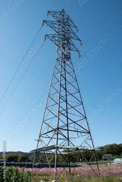 Fototapeta 青空と鉄塔