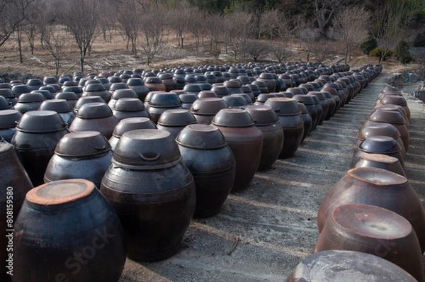 Obraz Pots
