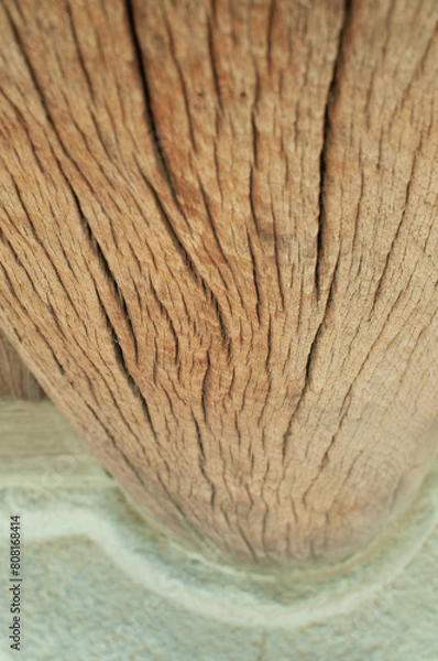 Fototapeta close up of old fine tree house column