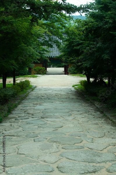Fototapeta path in the garden