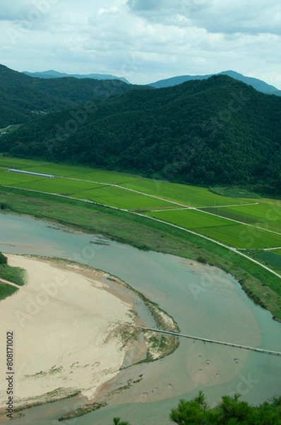Fototapeta view of the river