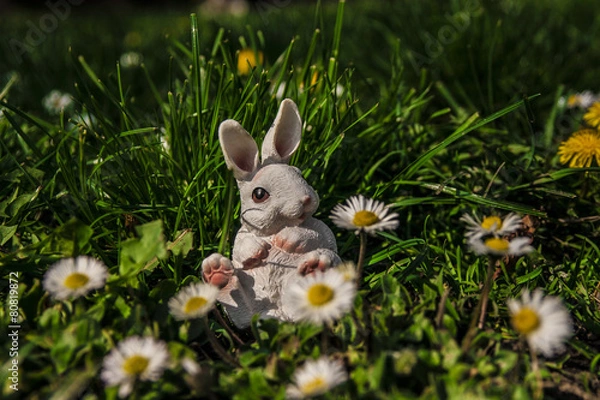 Fototapeta Easter bunny