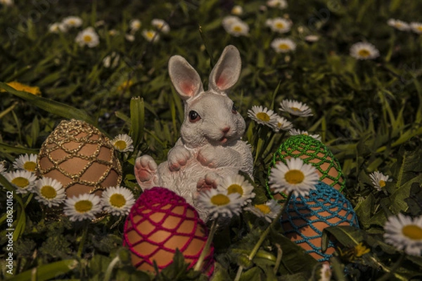 Fototapeta Easter bunny