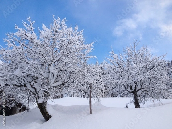 Obraz Panorama d'inverno