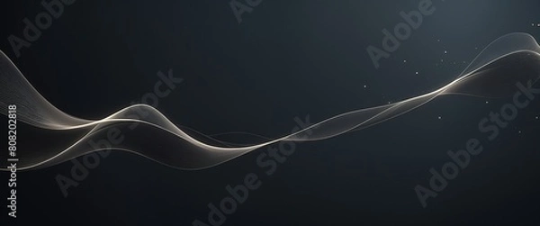 Obraz Elegant Abstract White Wave Dark Background