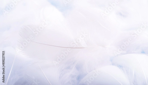 Fototapeta Abstract, elegant fluffy feathers. Three-dimensional background in shades of blue.