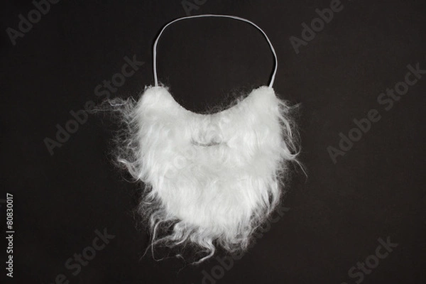 Obraz White beard