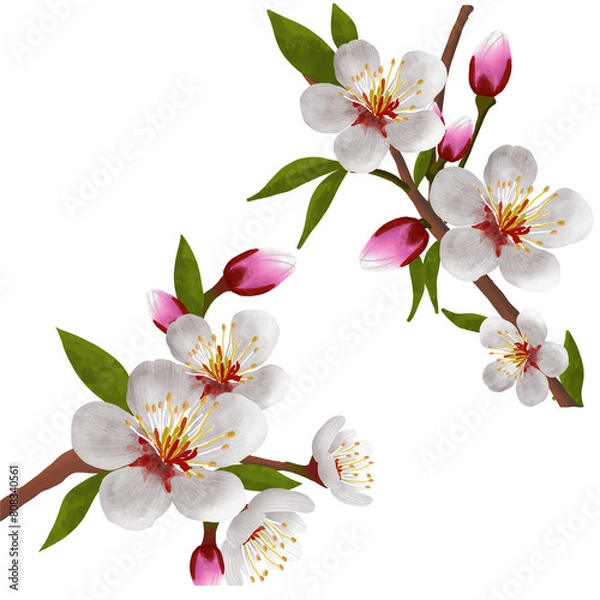 Obraz Tung Flower Element