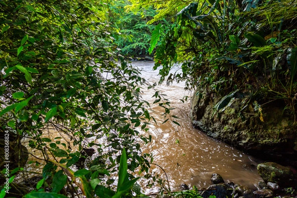 Obraz Choco andino Nanegal