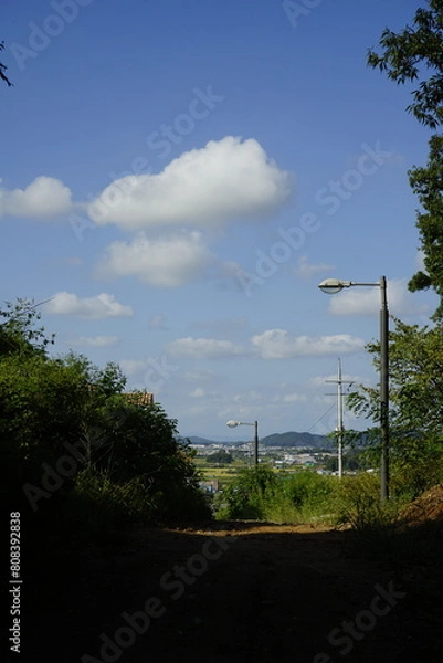 Fototapeta 숲 언덕 풍경입니다