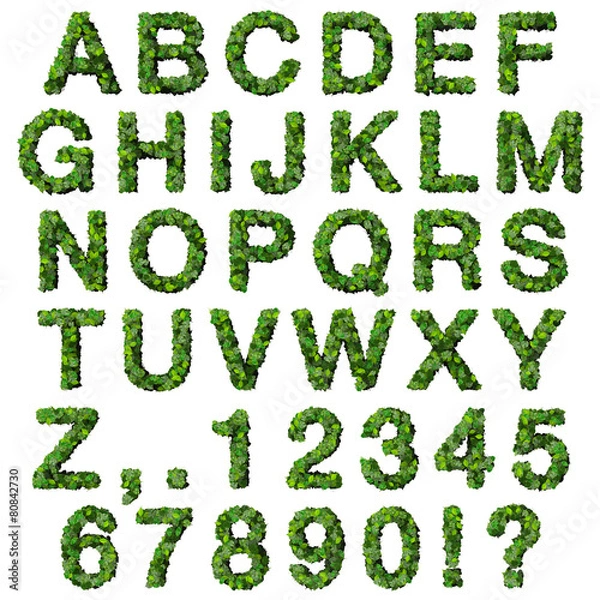 Fototapeta Alphabet with numbers made from green leaves.