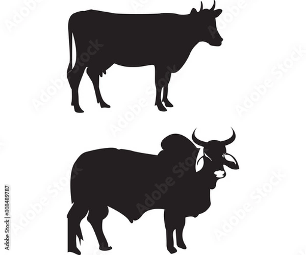 Fototapeta silhouette cow good for design element, and any element other design.
