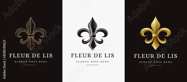 Fototapeta Set of Elegant fleur de lis logo icon vector