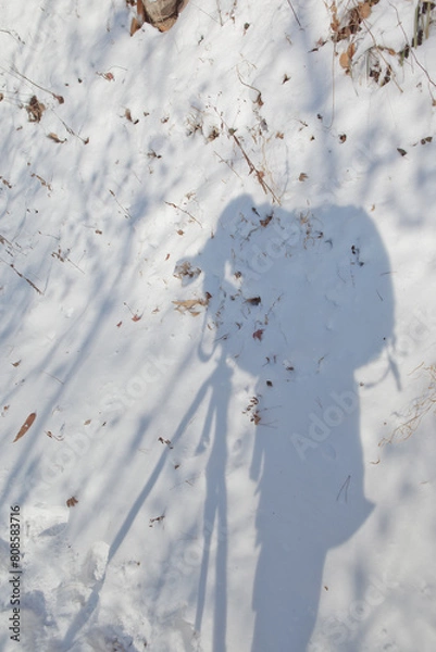 Obraz Human Shadow on Snowy Ground