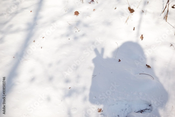Obraz Human Shadow on Snowy Ground