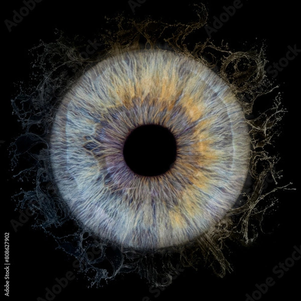 Obraz Blue human iris on black background