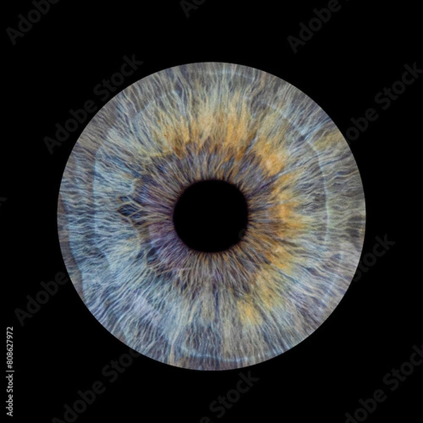 Obraz Human pupil on black background. Blue iris