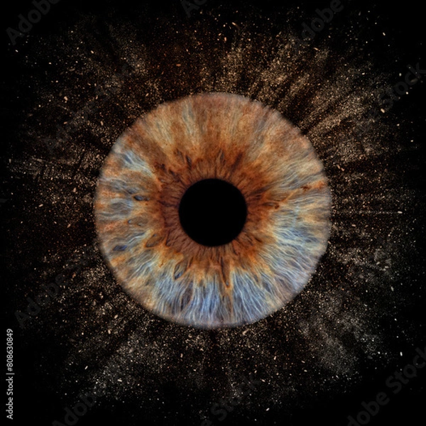 Obraz Human pupil on black background 