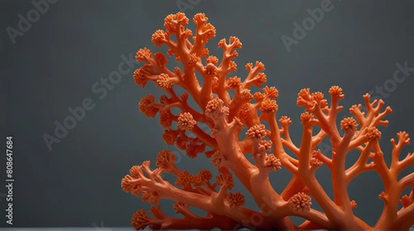 Fototapeta Underwater world. Coral reef and fishes in Red sea at Egypt. Generative .Ai 
