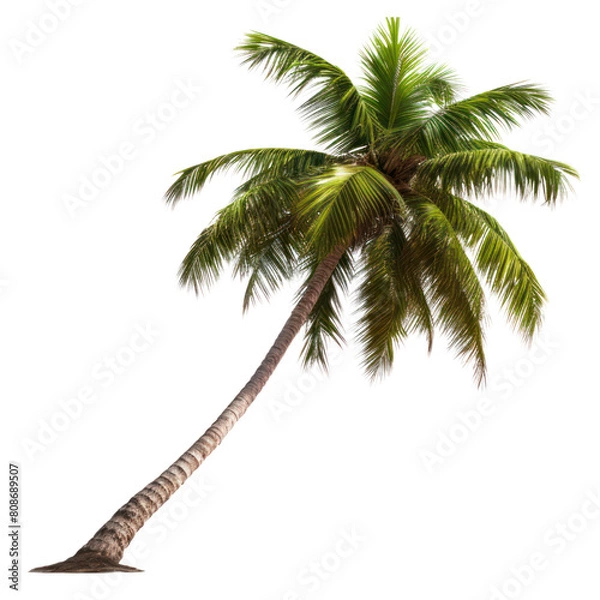 Fototapeta  Looking for a tropical oasis? With crystal clear waters and palm trees swaying in the breeze, this is the perfect destination for your next vacation.