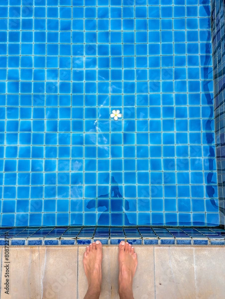 Fototapeta A white flower floating on the water in a swimming pool.