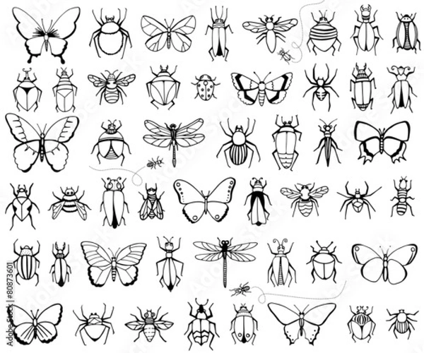 Obraz Błędy i motyle