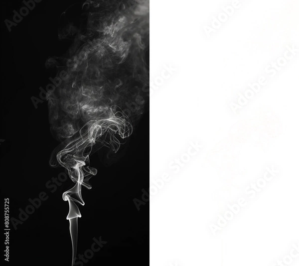 Fototapeta Abstract and dynamic white smoke curves floating on a transparent background, ideal for complex compositions