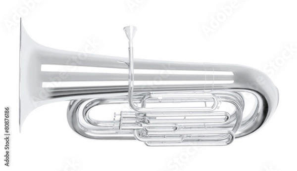 Obraz silver tuba in hard light isolated on white background