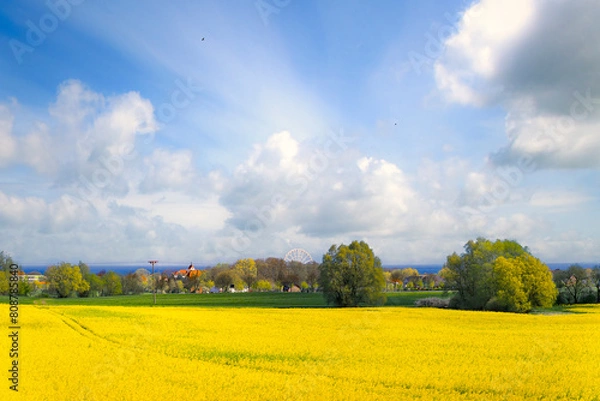 Obraz Ostseebad Kühlungsborn