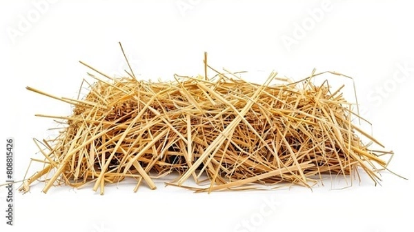 Fototapeta Bundles of hay isolated on a white background. Top view.