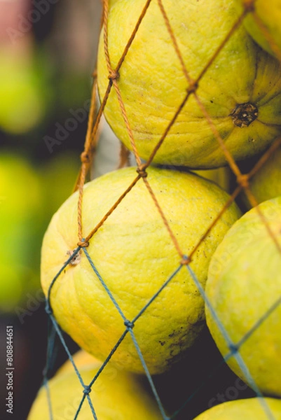 Obraz Limetten im Netz
