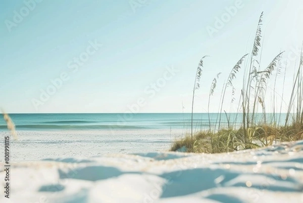 Obraz Sea sandy beach background