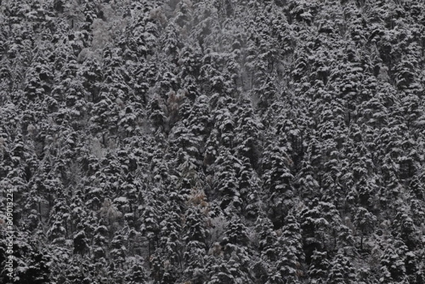 Obraz black and white background